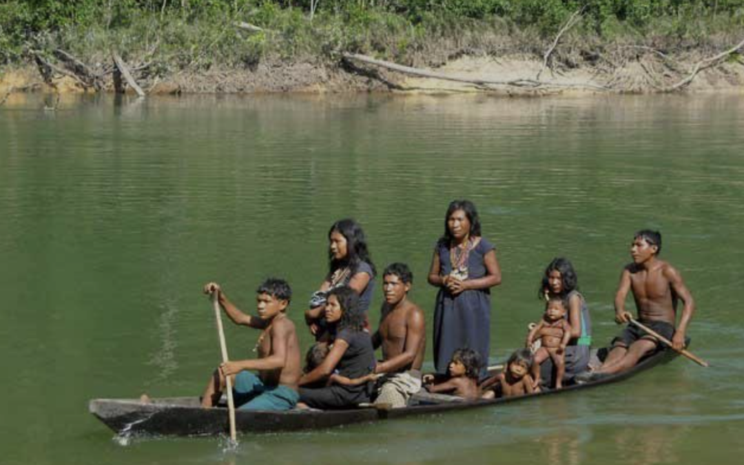 Piraha Culture – Does Society Need Math?